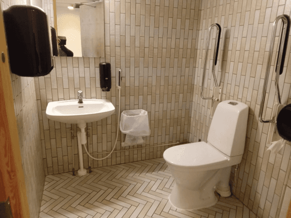 Interior of wheelchair accessible bathroom. Two handrails come down behind the wall